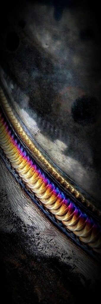 275721818_494236558903300_2315511249553674489_n_1000x3000_PORTFOLIO_VIGNETTE