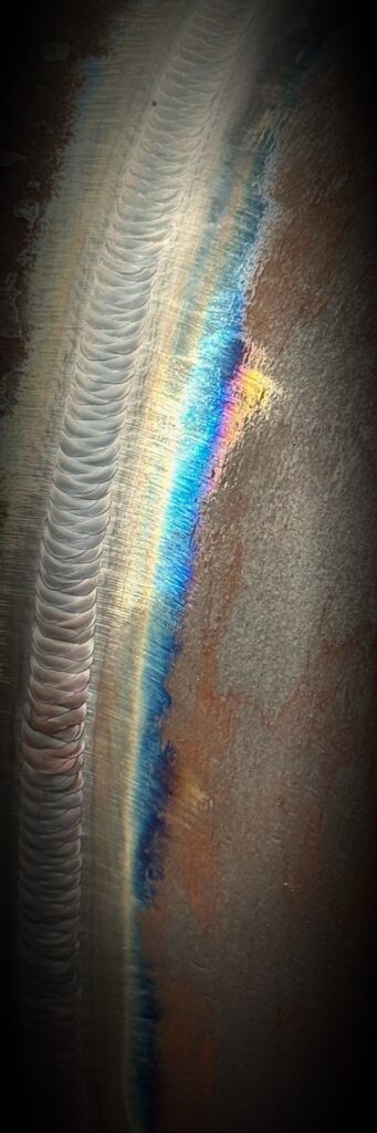 IMG_2858_1000x3000_PORTFOLIO_VIGNETTE